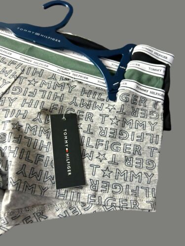 Tommy Hilfiger 3pcs~Cotton Briefs Logo Boy-shorts Sz. L~Multicolor~GREAT FIT!